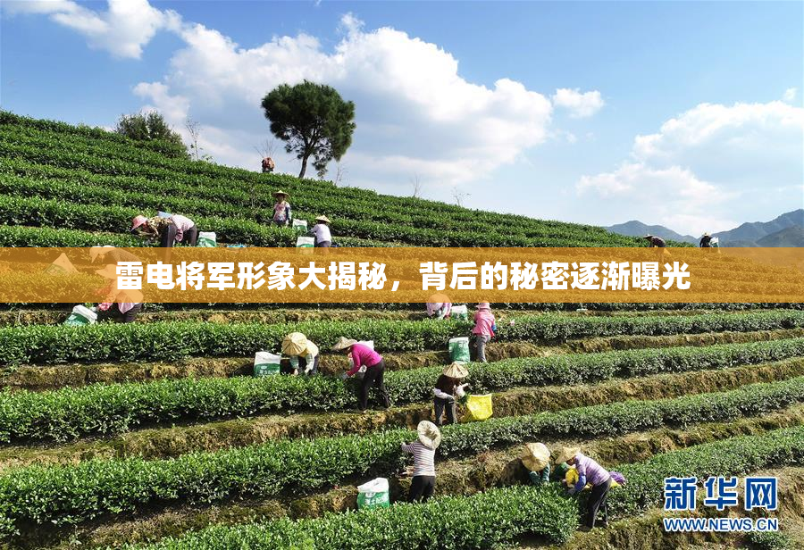 雷电将军形象大揭秘，背后的秘密逐渐曝光