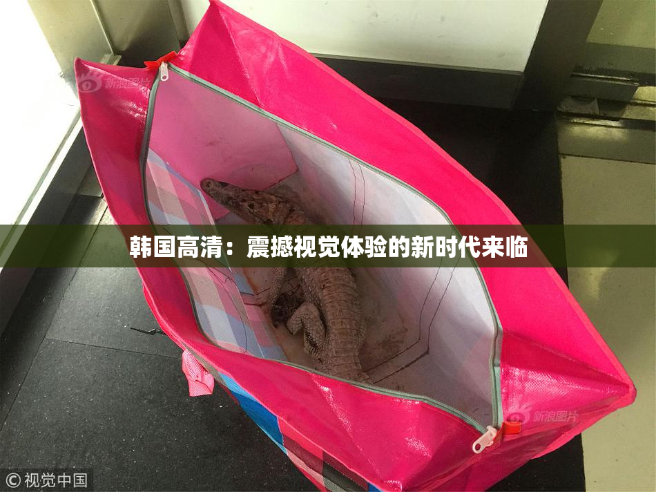韩国高清：震撼视觉体验的新时代来临