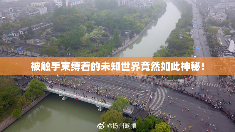 被触手束缚着的未知世界竟然如此神秘！