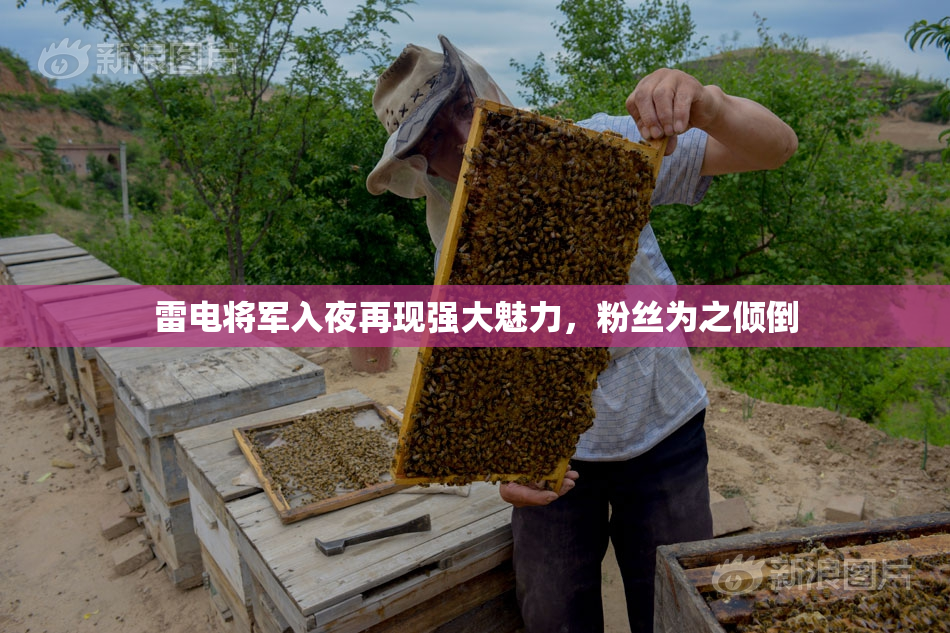 雷电将军入夜再现强大魅力，粉丝为之倾倒