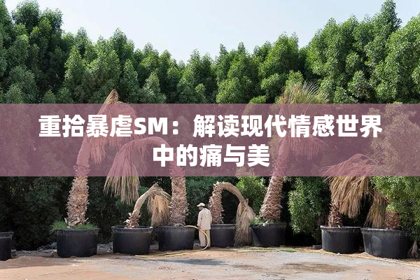 重拾暴虐SM：解读现代情感世界中的痛与美