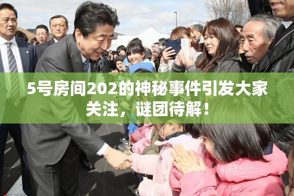 5号房间202的神秘事件引发大家关注，谜团待解！