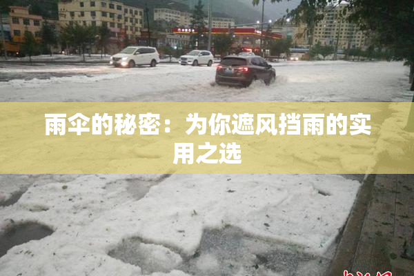 雨伞的秘密：为你遮风挡雨的实用之选