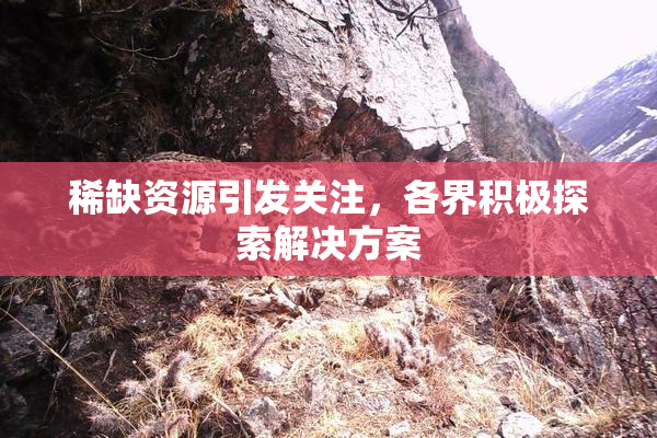 稀缺资源引发关注，各界积极探索解决方案