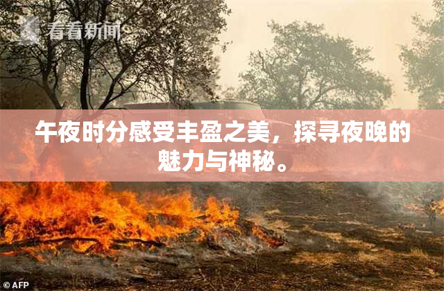 午夜时分感受丰盈之美，探寻夜晚的魅力与神秘。