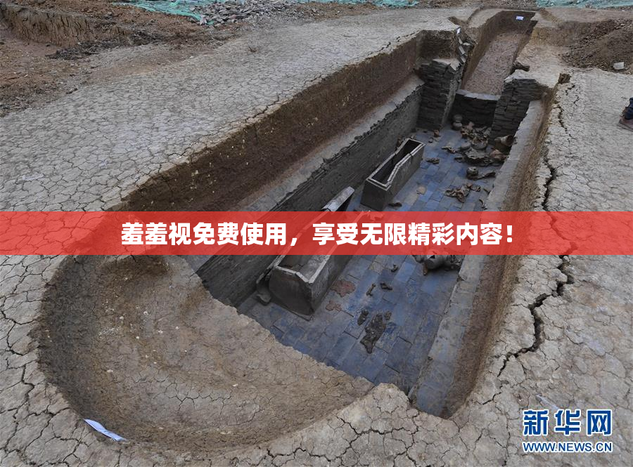 羞羞视免费使用，享受无限精彩内容！