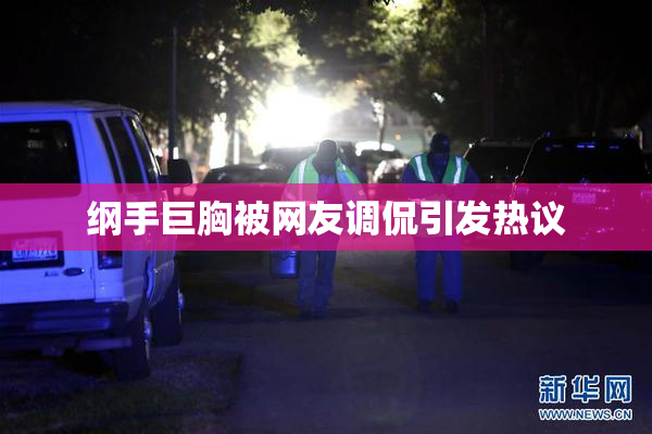 纲手巨胸被网友调侃引发热议