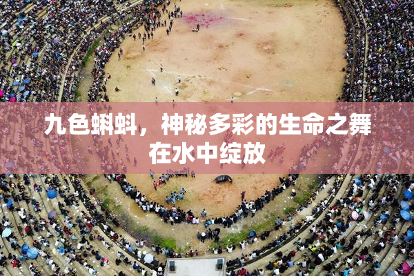 九色蝌蚪，神秘多彩的生命之舞在水中绽放
