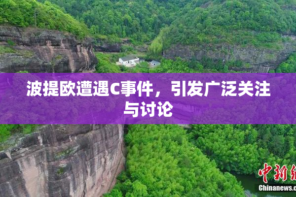 波提欧遭遇C事件，引发广泛关注与讨论