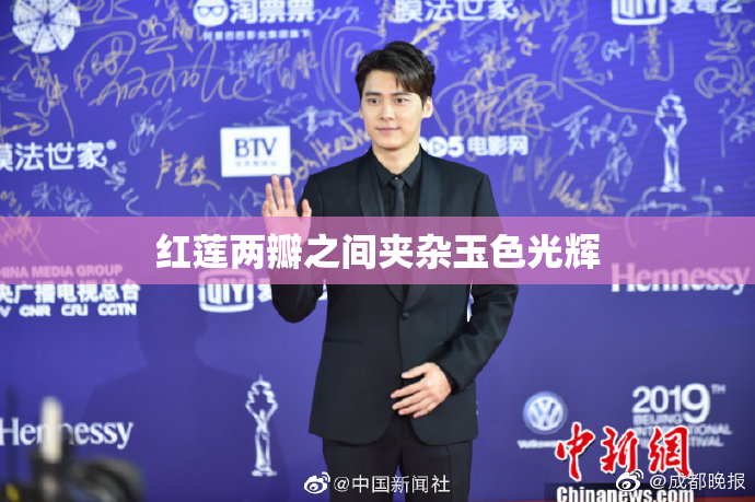 红莲两瓣之间夹杂玉色光辉