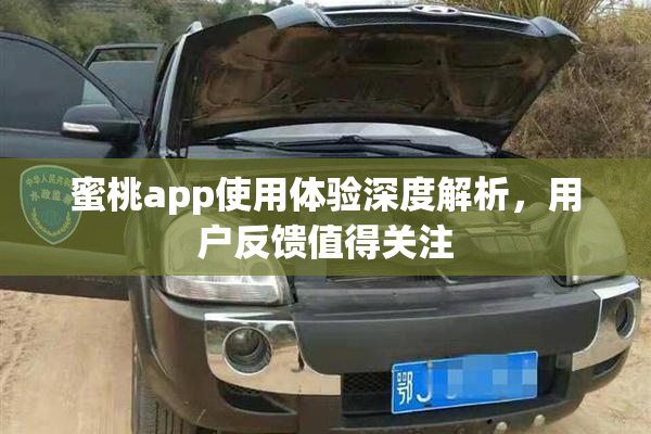 蜜桃app使用体验深度解析，用户反馈值得关注