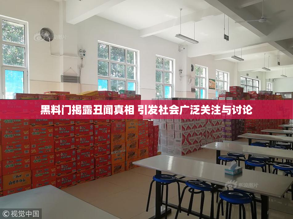 黑料门揭露丑闻真相 引发社会广泛关注与讨论