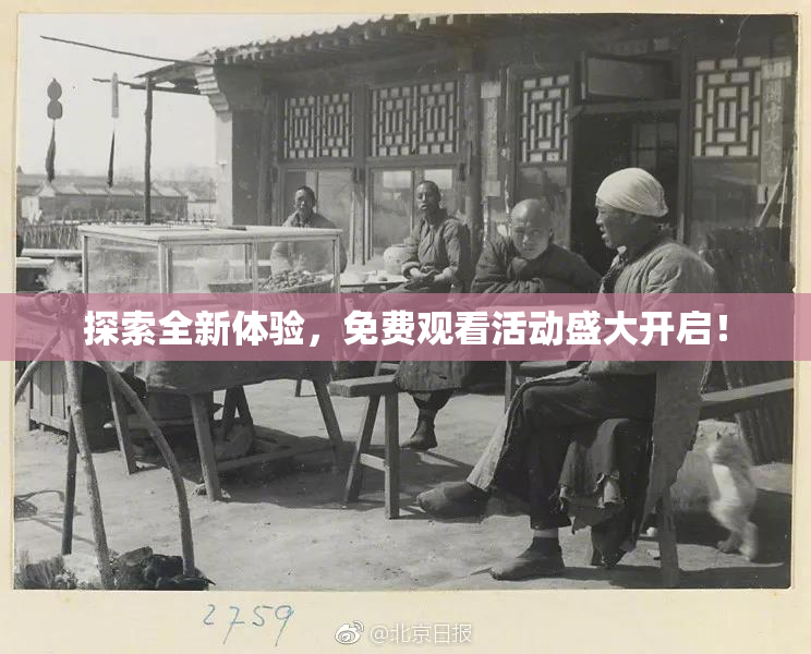 探索全新体验，免费观看活动盛大开启！