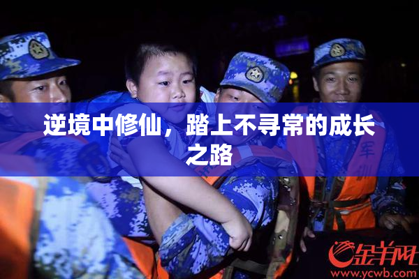 逆境中修仙，踏上不寻常的成长之路