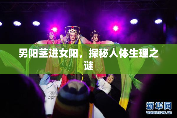 男阳茎进女阳，探秘人体生理之谜
