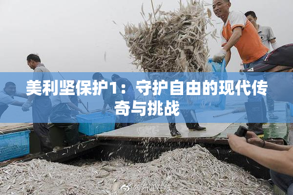 美利坚保护1：守护自由的现代传奇与挑战
