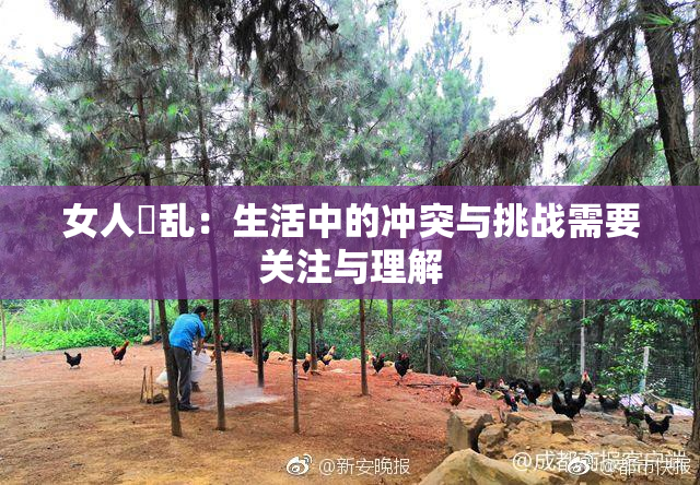 女人婬乱：生活中的冲突与挑战需要关注与理解