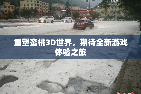 重塑蜜桃3D世界，期待全新游戏体验之旅