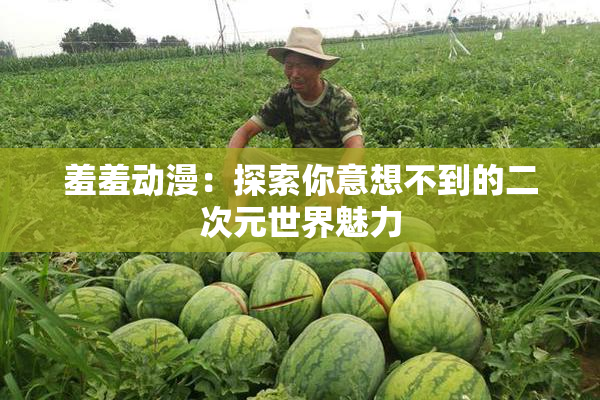 羞羞动漫：探索你意想不到的二次元世界魅力