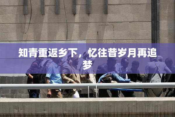 知青重返乡下，忆往昔岁月再追梦