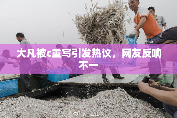 大凡被c重写引发热议，网友反响不一