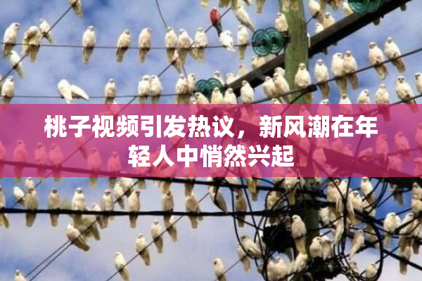 桃子视频引发热议，新风潮在年轻人中悄然兴起