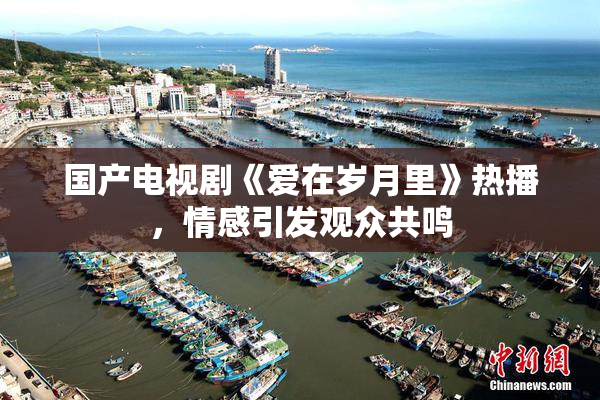 国产电视剧《爱在岁月里》热播，情感引发观众共鸣