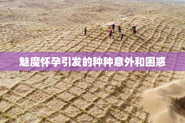 魅魔怀孕引发的种种意外和困惑