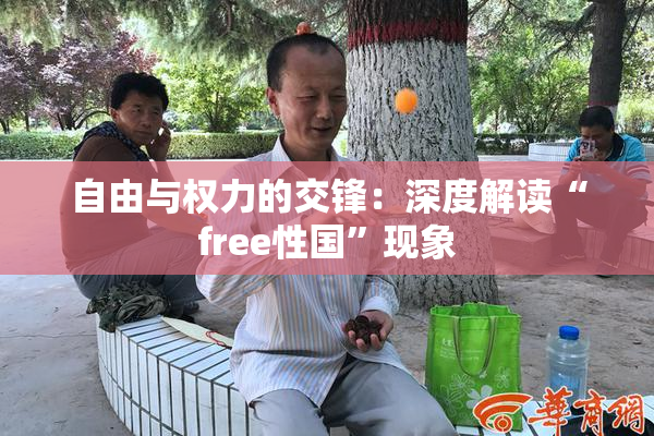 自由与权力的交锋：深度解读“free性国”现象