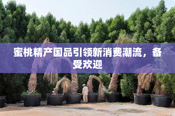 蜜桃精产国品引领新消费潮流，备受欢迎