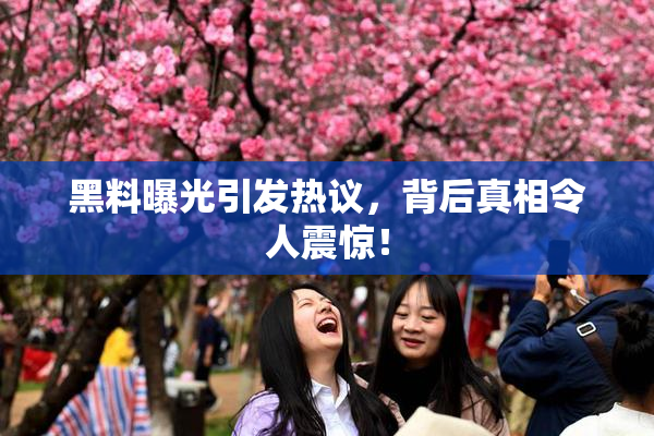 黑料曝光引发热议，背后真相令人震惊！