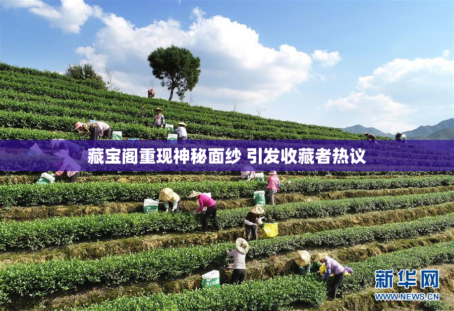 藏宝阁重现神秘面纱 引发收藏者热议