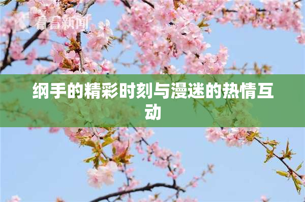纲手的精彩时刻与漫迷的热情互动