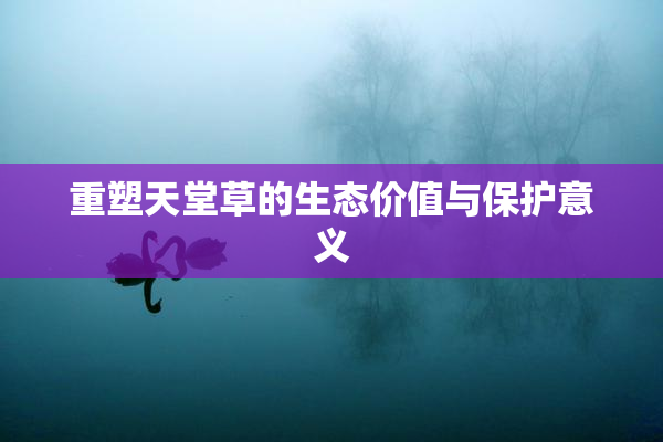 重塑天堂草的生态价值与保护意义