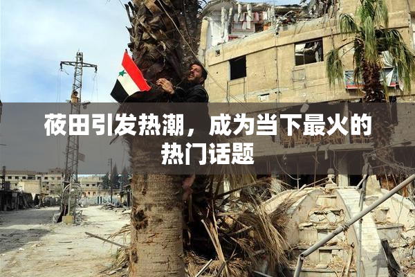 莜田引发热潮，成为当下最火的热门话题