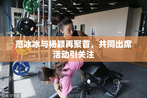 范冰冰与杨颖再聚首，共同出席活动引关注