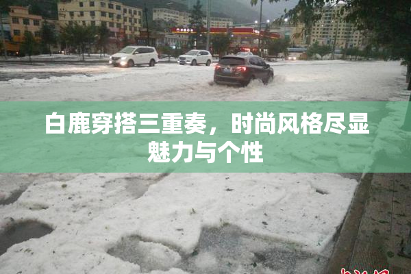 白鹿穿搭三重奏，时尚风格尽显魅力与个性
