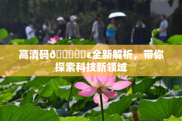 高清码🔞❌‌ε全新解析，带你探索科技新领域