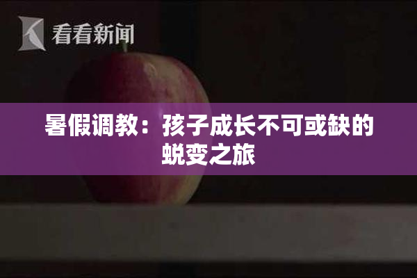 暑假调教：孩子成长不可或缺的蜕变之旅