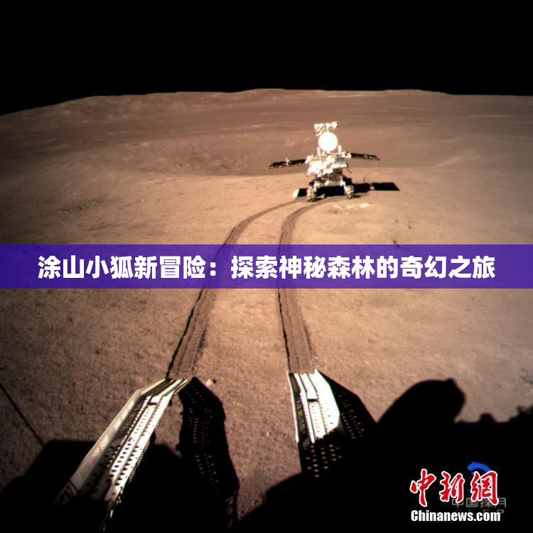 涂山小狐新冒险：探索神秘森林的奇幻之旅
