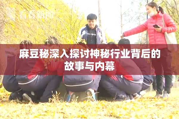 麻豆秘深入探讨神秘行业背后的故事与内幕