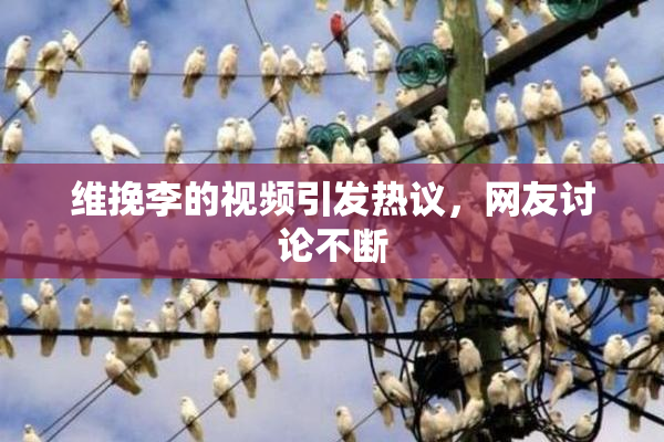 维挽李的视频引发热议，网友讨论不断