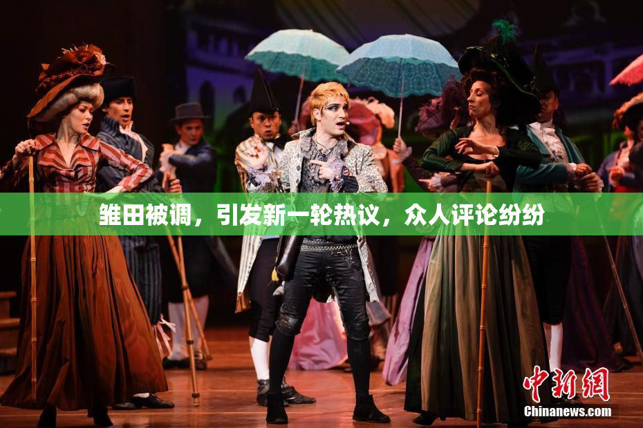 雏田被调，引发新一轮热议，众人评论纷纷