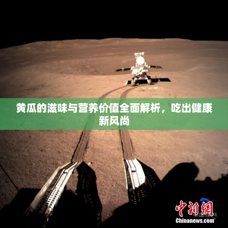 黄瓜的滋味与营养价值全面解析，吃出健康新风尚