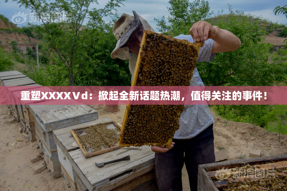 重塑XXXXⅤd：掀起全新话题热潮，值得关注的事件！