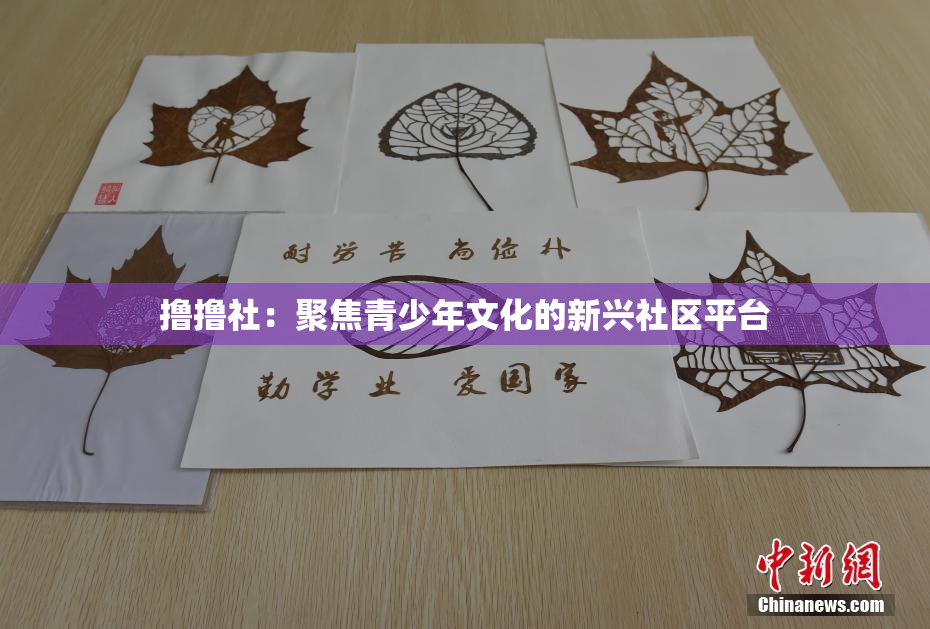 撸撸社：聚焦青少年文化的新兴社区平台