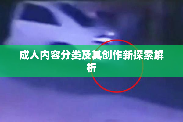 成人内容分类及其创作新探索解析