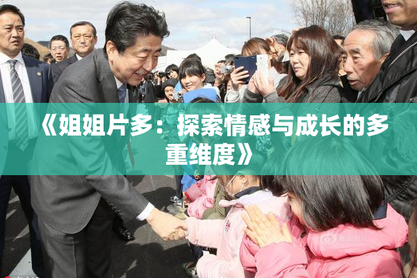 《姐姐片多：探索情感与成长的多重维度》