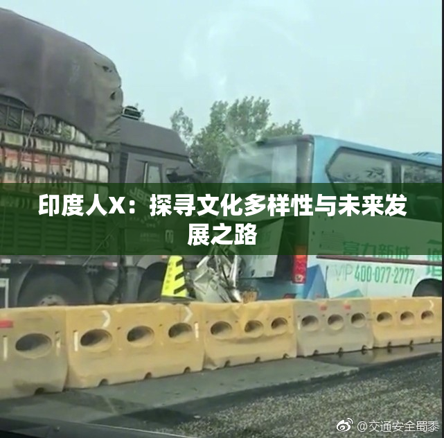 印度人X：探寻文化多样性与未来发展之路