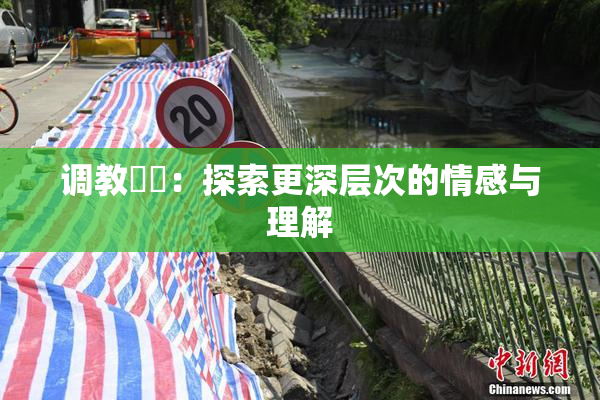 调教妺妺：探索更深层次的情感与理解